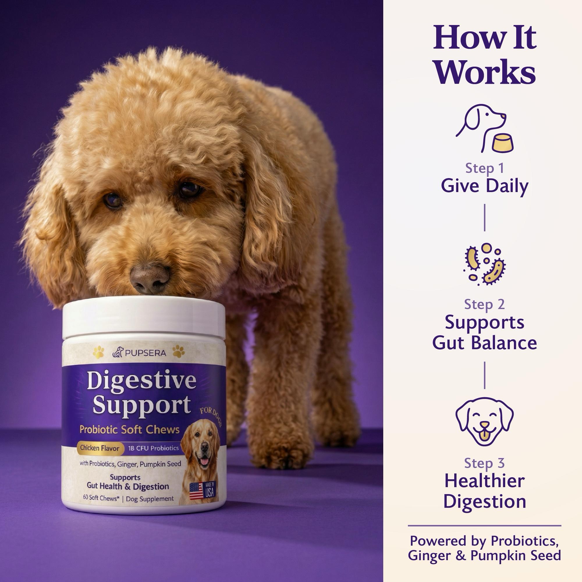Digestive Support Probiotic Soft Chews for Dogs - Image 2