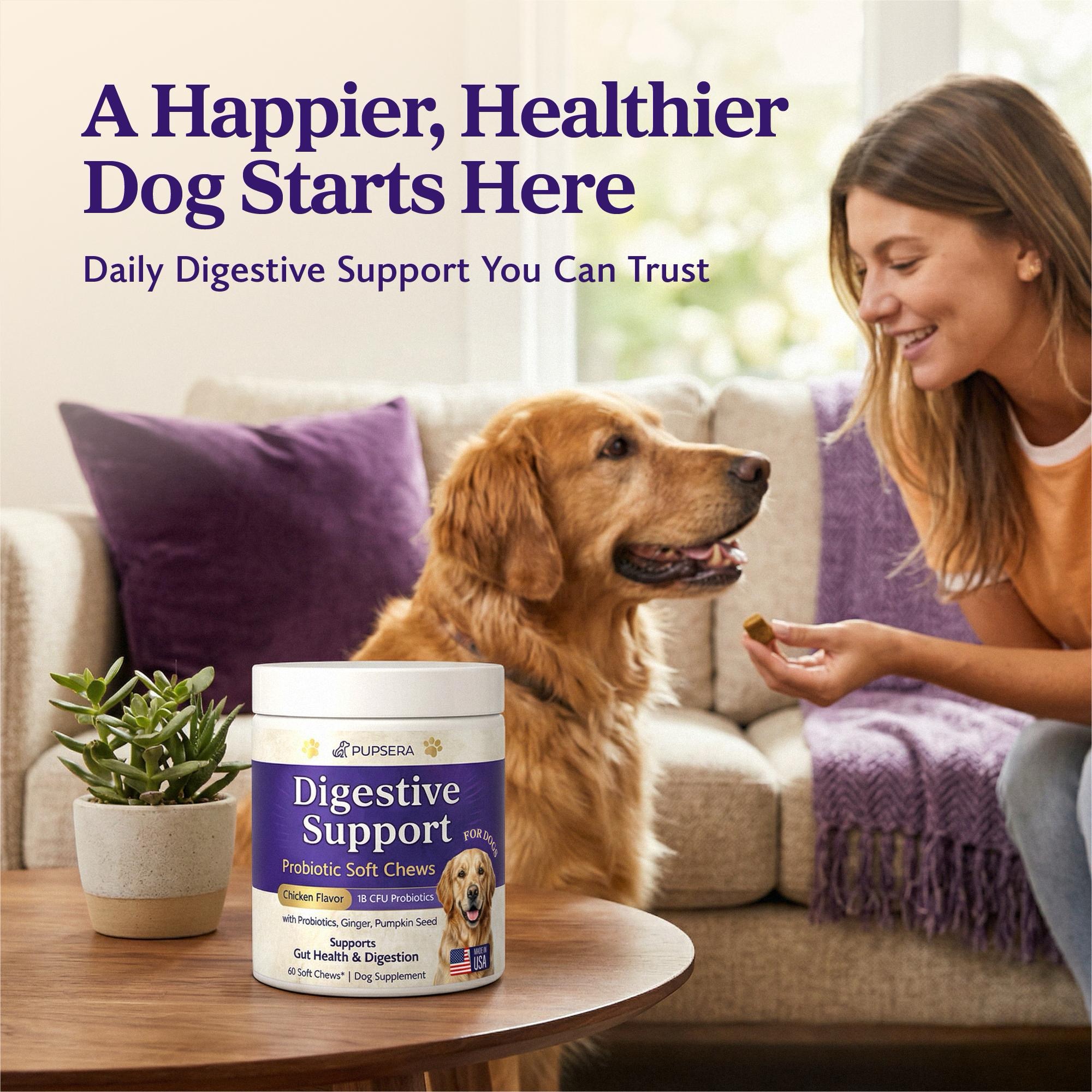 Digestive Support Probiotic Soft Chews for Dogs - Image 3