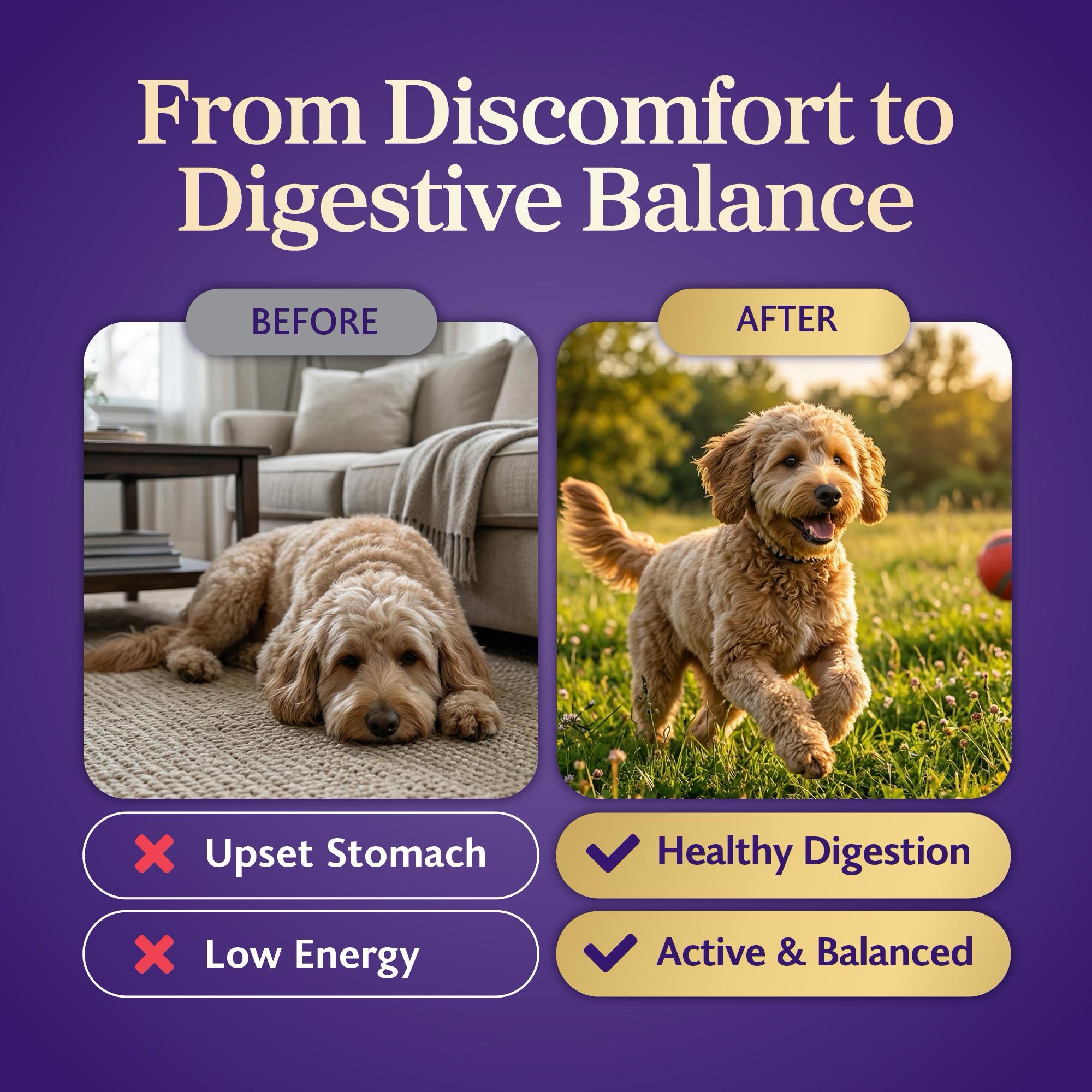 Digestive-Support5